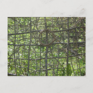 Stick Fence Briefkaart