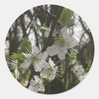 STICK IT - ZUIVERHEID VAN HOOP RONDE STICKER