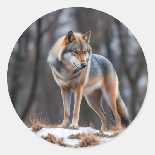 Sticker  (Voorkant)