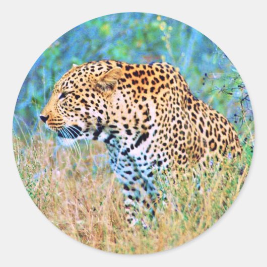 Sticker (Voorkant)