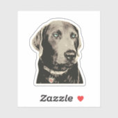 Sticker 100% Labrador Silver Lab (Feuille)