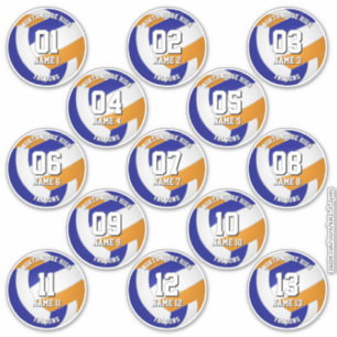 Sticker 13 enfants adolescents club de volley-ball couleur