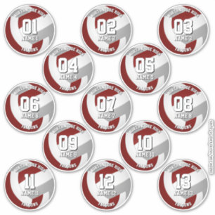 Sticker 13 joueurs de volley-ball marron gris équipe coule
