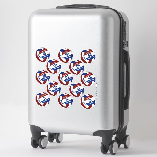 Sticker 13 pièces joueurs nom marron bleu volleyball (Sur valise)