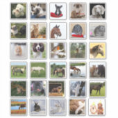 Sticker 30 x Journal de scrapbooking de collection photo p (Devant)