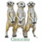 Sticker 3 Meerkats debats Thunder_Cove (Devant)