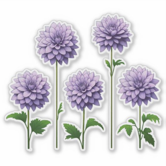 Sticker 5 Dahlia Lavande (clair) (Devant)