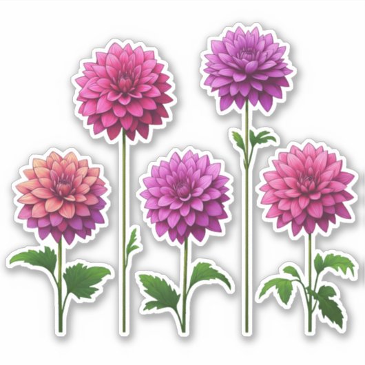 Sticker 5 Rose - Dahlia pourpre (clair) (Devant)