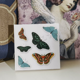 Sticker 6 pièces Papillon coloré vintage joli Contour