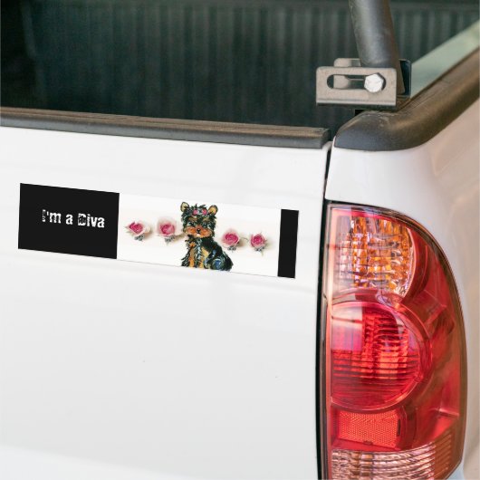 Sticker à bosse (Sur camion)