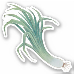 Sticker à contour pour poireaux de Saint-David (fR