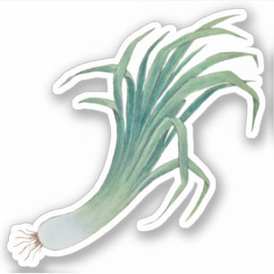 Sticker à contour pour poitrine de Saint-David (fL