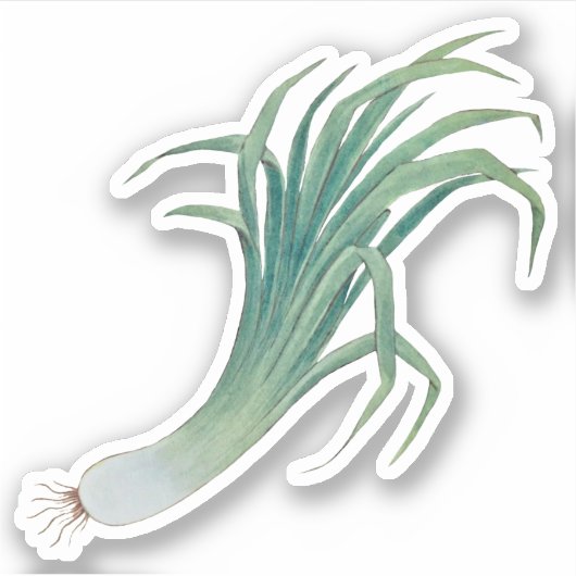 Sticker à contour pour poitrine de Saint-David (fL (Devant)