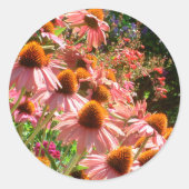Sticker à enveloppe ronde rose Echinacea Flowers (Devant)