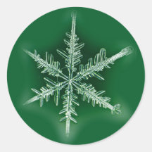 Sticker à flake vert et blanc