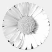 Sticker à fleurs blanches (Devant)