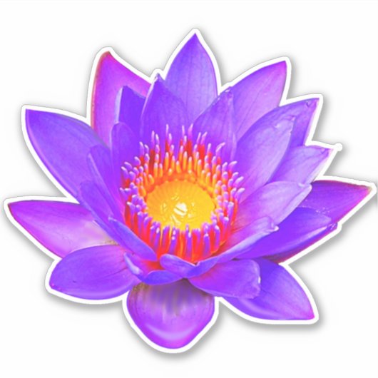 Sticker à fleurs Violet Lotus (Devant)