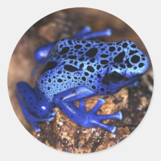 Sticker à la grenouille