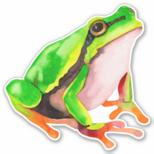 Sticker à la grenouille
