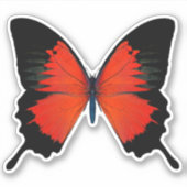 Sticker à papillon rouge et noir (Devant)