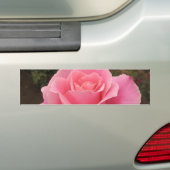 Sticker à pare-chocs rose (En voiture)