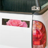 Sticker à pare-chocs rose (Sur camion)