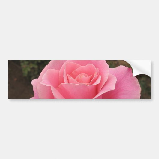Sticker à pare-chocs rose (Devant)