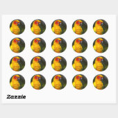 Sticker à perroquets Sun Conure (avec texte) (Feuille)