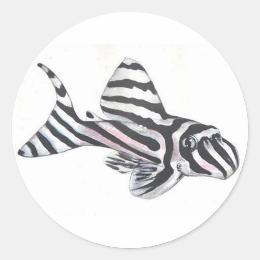 Sticker à poisson catfish Zebra Pleco L46 (Devant)