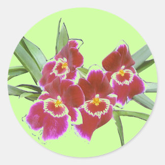 Sticker à pulvérisateur d'orchidée