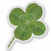 Sticker à quatre feuilles Lucky (Devant)