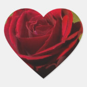 Sticker à Rose rouge texturé (Devant)