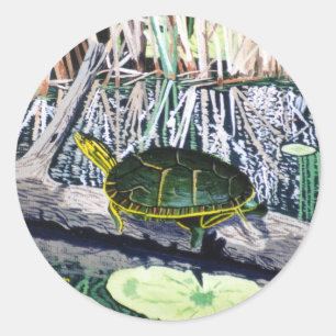 Sticker à tortue peinte