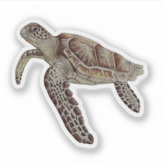 Sticker à tortue verte (Devant)
