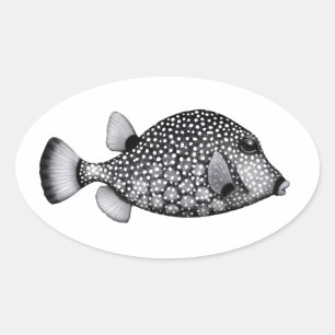 Sticker à Trunkfish lisse