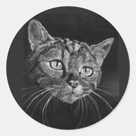 Sticker à visage de chat (Devant)