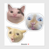 Sticker à visage de chat mème drôle (Feuille)