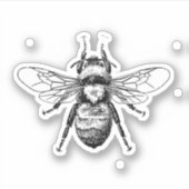 Sticker Abee (Devant)