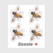 Sticker Abeille, bourdon, abeille (Feuille)