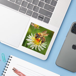 Sticker Abeille sur Fleur Blanche