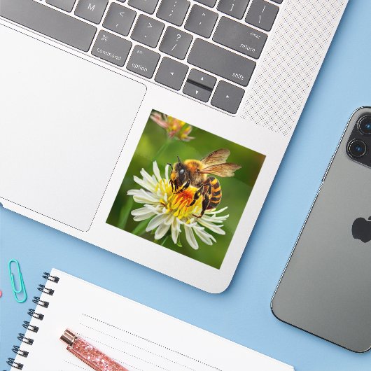 Sticker Abeille sur Fleur Blanche (Ordinateur portable avec iPhone)