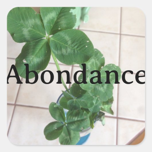 Sticker Abondance (Voorkant)