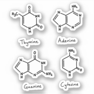 Sticker Adénine, guanine, cytosine, molécules thyminées