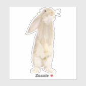 Sticker Adorable Lapin Fluffy (Feuille)