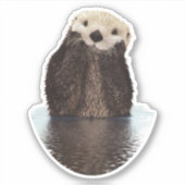 Sticker Adorable Otter souriant dans le lac (Devant)