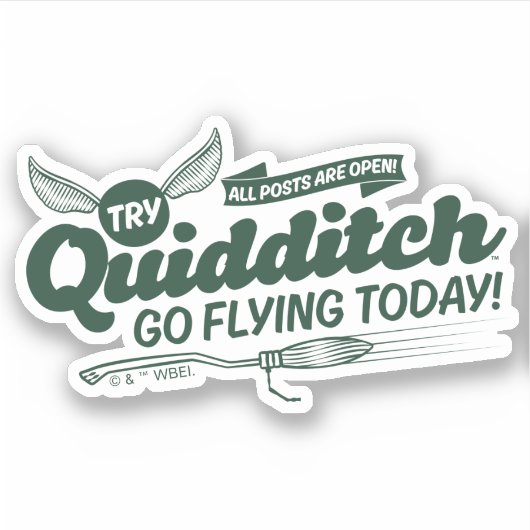 Sticker Affiche de recrutement de QUIDDITCH™ (Devant)