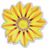 Sticker African Daisy / Gazania Orange and Yellow (Devant)