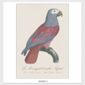 Sticker African Grey Parrot Red Factor Psittacus Erithacus (Feuille)