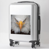 Sticker Aigle de Bald (Sur valise)