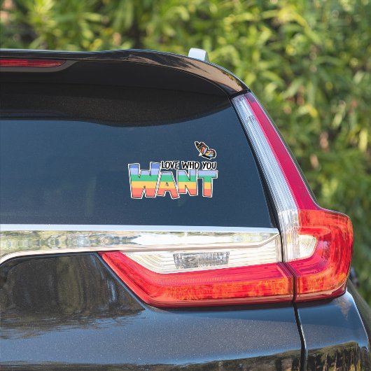 Sticker Aimez qui vous voulez arc-en-ciel (Côté voiture)